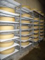 MAXI - draining grid (shelf)