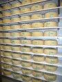 TAFO PFS 33/40/50 cm - draining grid (shelf)