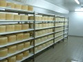 TAFO PFS 33/40/50 cm - draining grid (shelf)
