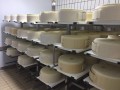 TAFO 25x40 cm - draining grid (shelf)