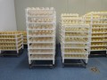Modular ripening rack / drainer