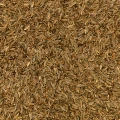 Whole caraway
