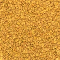 Fenugreek seeds