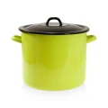 12 L enameled pot with a cover