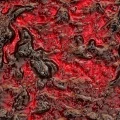 Blueberry (bilberry) - fruit preparation BIO, organic, 3 kg